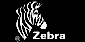 A zebra is shown in black and white.